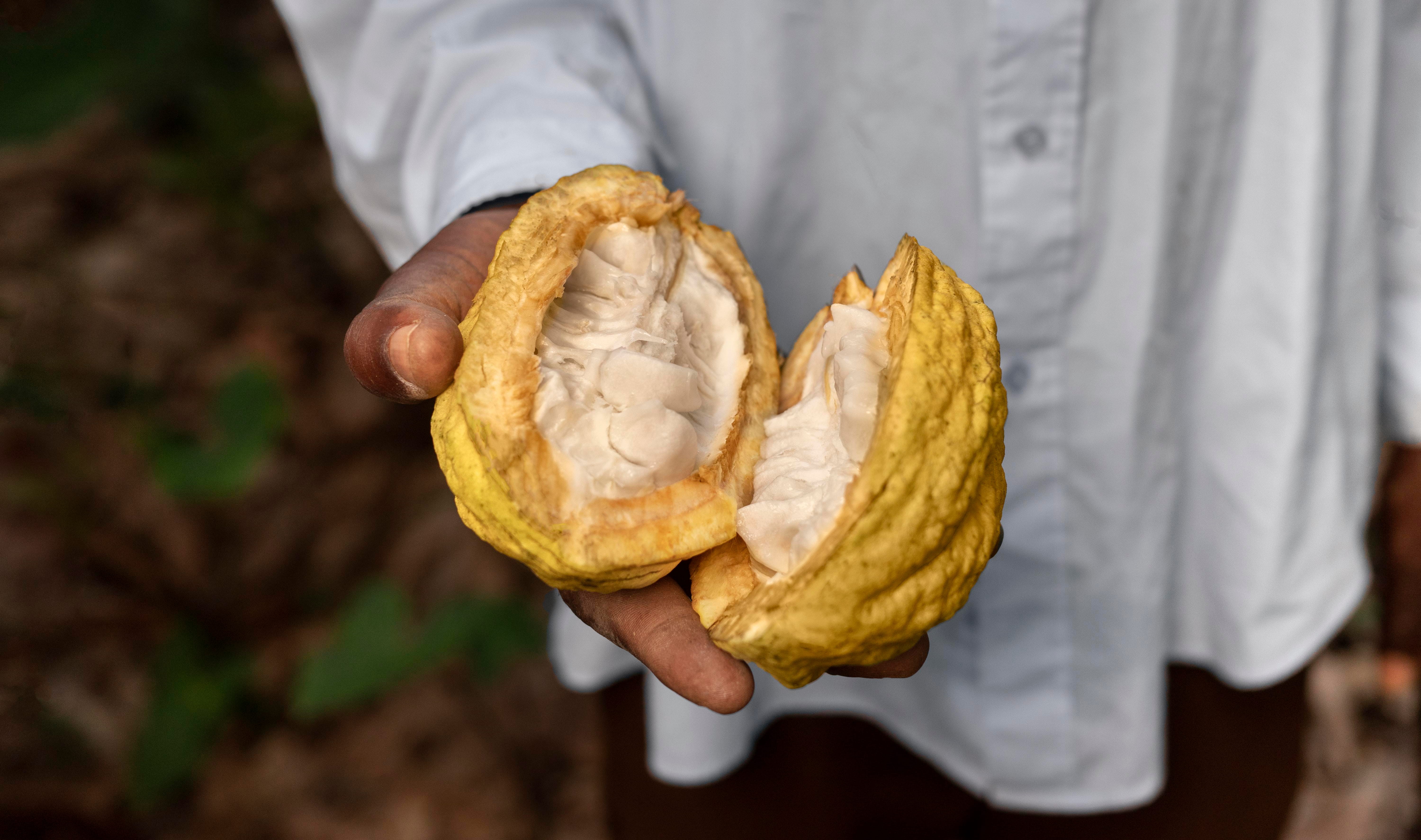 Fruta Venezolana